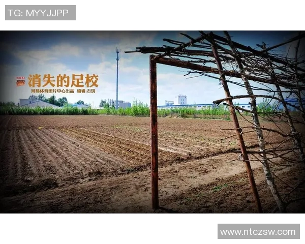 佛山球星足球发展历程与城市青少年培养模式深度探究